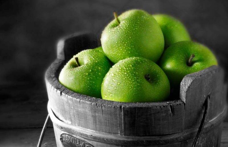 Описание и характеристики плодоношения сорта яблонь уэлси, выращивание и уход