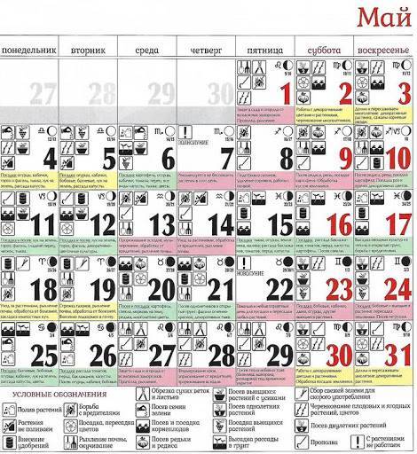 Благоприятные дни для посадки рассады в мае 2020 года по лунному календарю