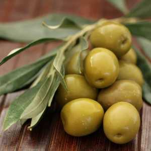 10 лучших марок оливкового масла