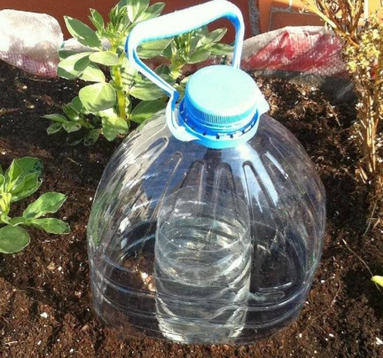 Как организовать капельный полив из пластиковых бутылок для огурцов своими руками