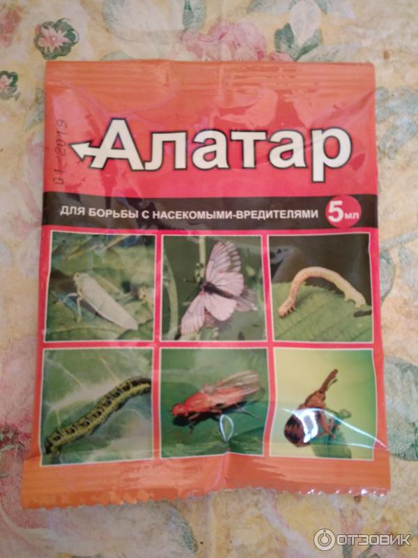 Алатар: инструкция по использованию для борьбы с насекомыми