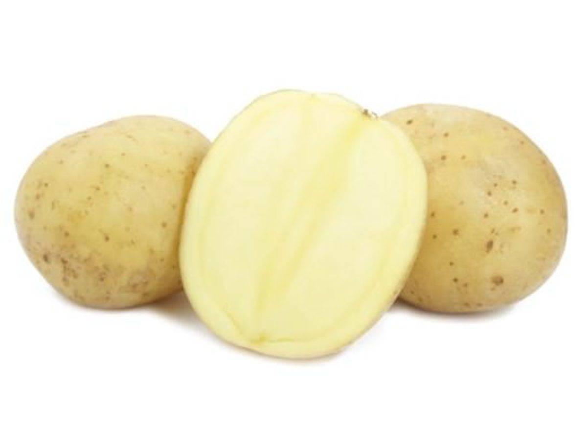 Описание сорта картофеля каратоп — как поднять урожайность