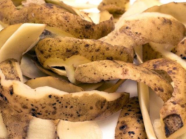 Картофельные очистки для смородины: как использовать. использование картофельных очисток в качестве удобрения для растений