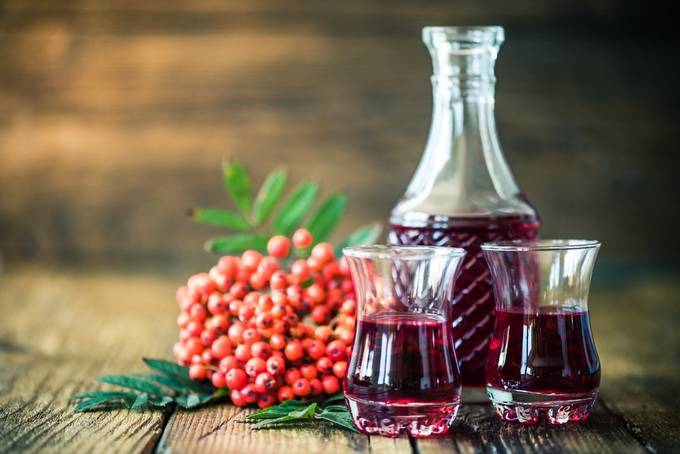 ТОП 8 простых рецептов приготовления рябинового вина в домашних условиях