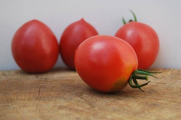Миниатюрный сорт томатов клуша: обзор, рекомендации по выращиванию и отзывы садоводов