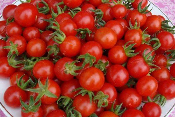 Универсальный и раннеспелый сорт томата «черри лиза»: описание характеристик и советы по выращиванию