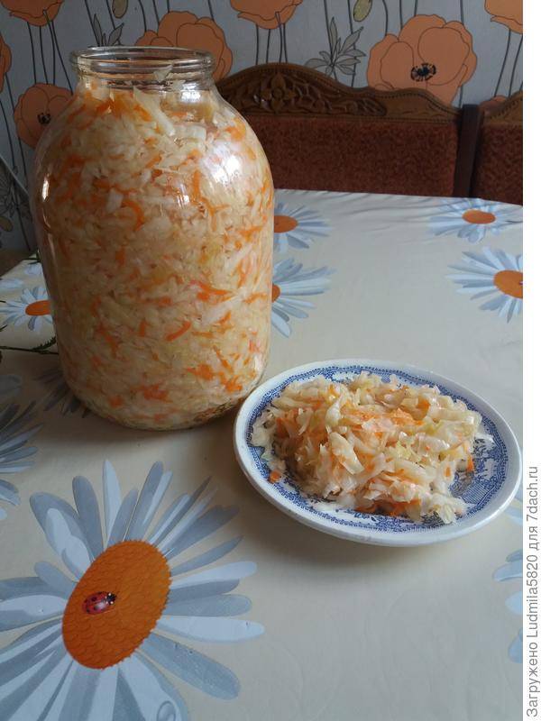 13 лучших рецептов приготовления квашеной капусты в домашних условиях