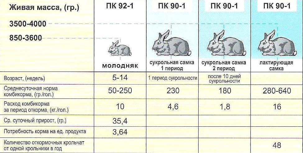 Комбикорм для кроликов: состав, обзор производителей и правила кормления