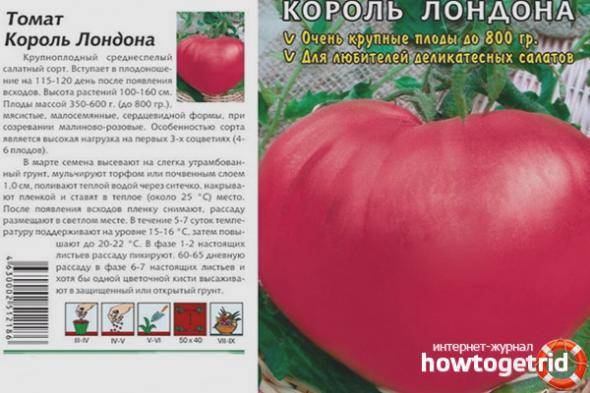 Помидоры с необычайной расцветкой, родом из сша — «король красоты» — описание сорта томата