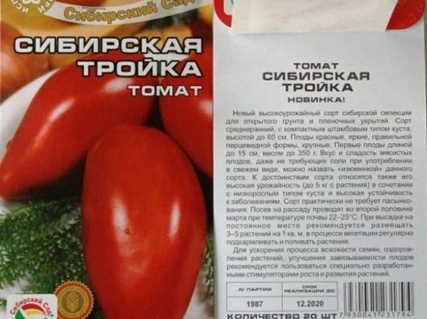 Высокоурожайный сорт томата «русская тройка»: описание, характеристика, посев на рассаду, подкормка, урожайность, фото, видео и самые распространенные болезни томатов