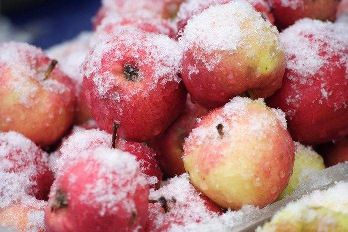 Как заморозить яблоки в домашних условиях на зиму в морозилке