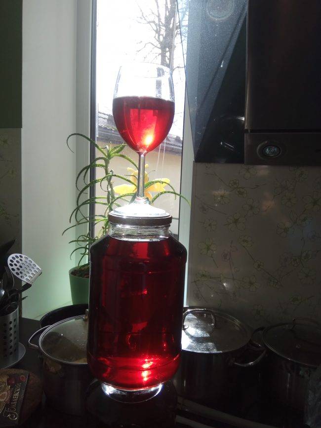 Технология приготовления и рецепты вина из гранатового и виноградного концентрированного соков в домашних условиях