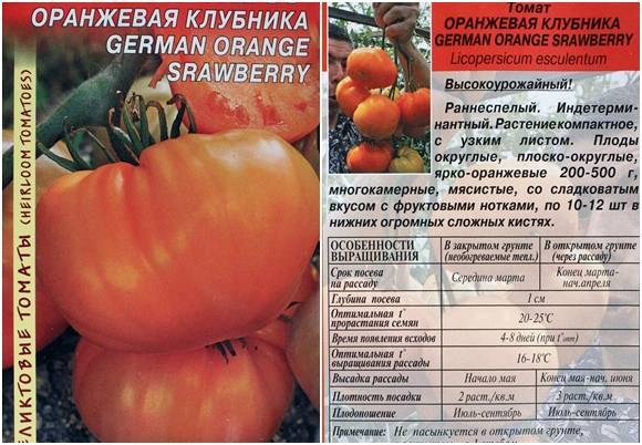 Сорт томата «оранжевое чудо»: фото, отзывы, описание, характеристика, урожайность