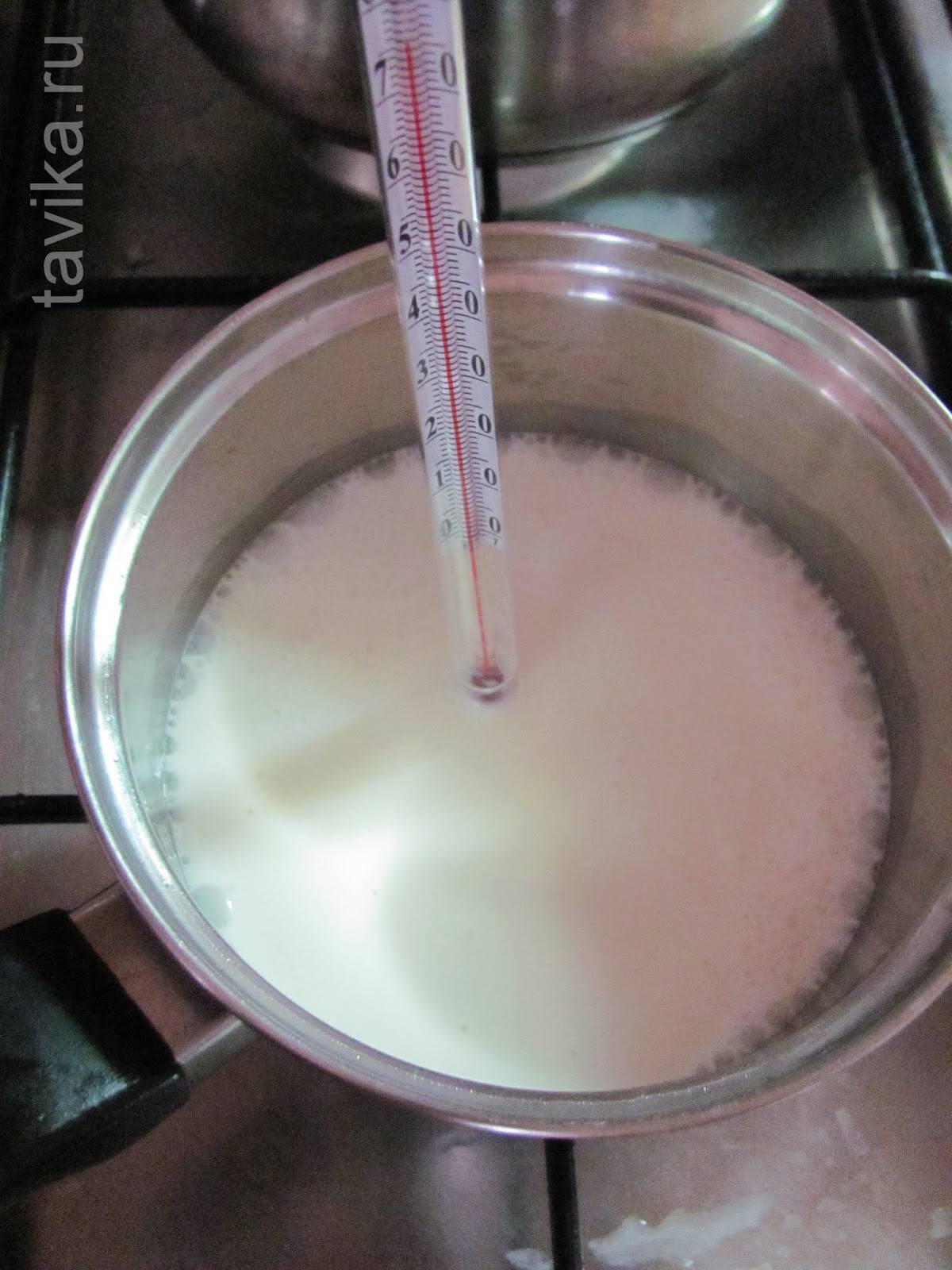 Какое молоко по составу полезнее, коровье или козье и таблица отличий