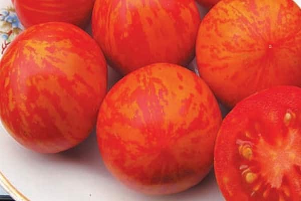 Описание сорта томата Рябчик, его характеристика и выращивание