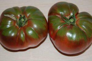 Характеристика и описание сорта томата чудо лентяя, его урожайность