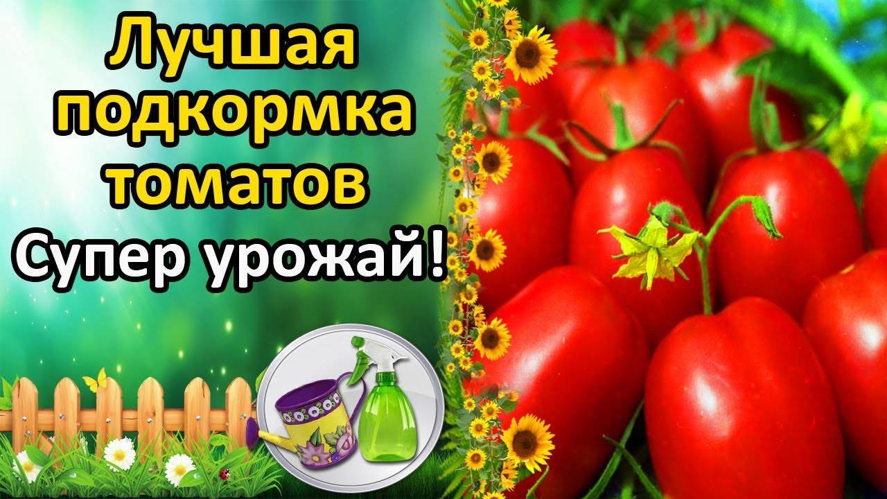 Борная кислота для увеличения урожая помидоров и огурцов