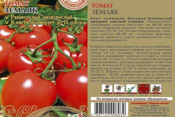 Описание сорта томата рябчик, его характеристика и выращивание