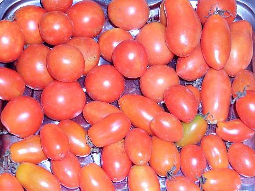 Полный обзор томата супермодель