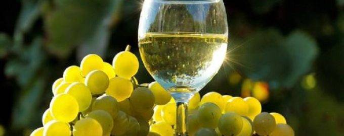 Белое вино из винограда