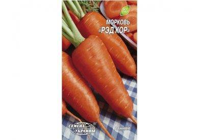 Что делать, если не взошла морковь, как быстро ускорить прорастание