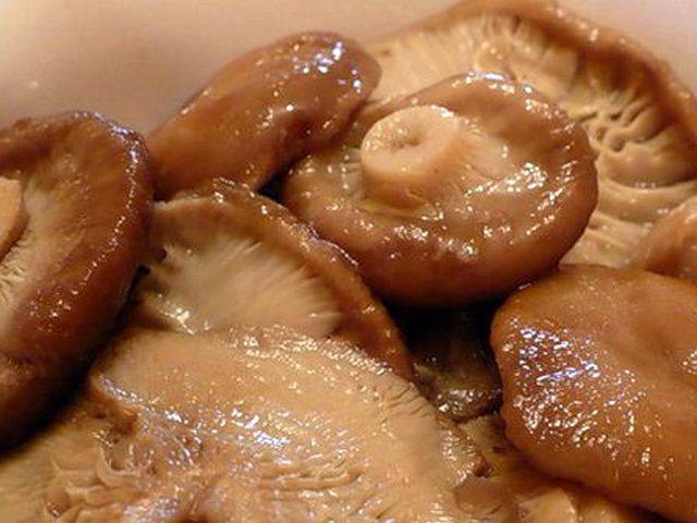 Приготовление грибов гаркуша. рецепт как солить грибы горькушки в домашних условиях