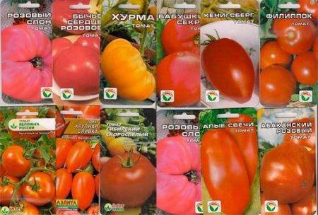 Лучшие сорта томатов для подмосковья: какие рекомендуют специалисты