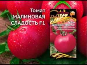 Описание и характеристика сорта томата малиновая сладость f1
