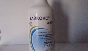 Байкокс — эффективный препарат в борьбе с кокцидиозом!