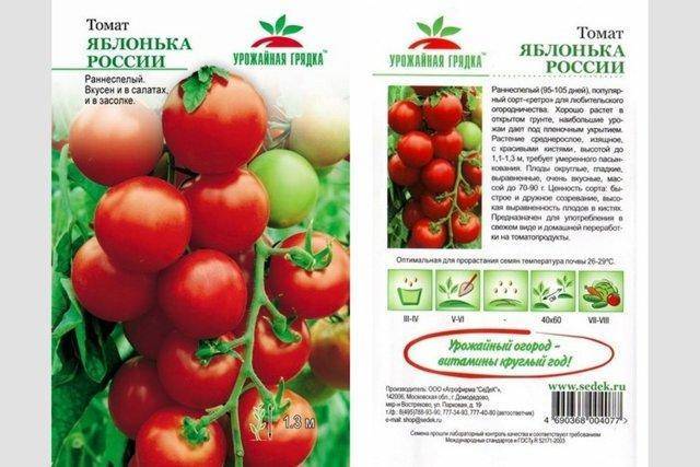 Идеальный томат с необычным названием — «яблонька россии»: описание сорта, характеристики и фото