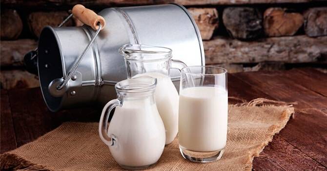Польза и возможный вред козьего молока