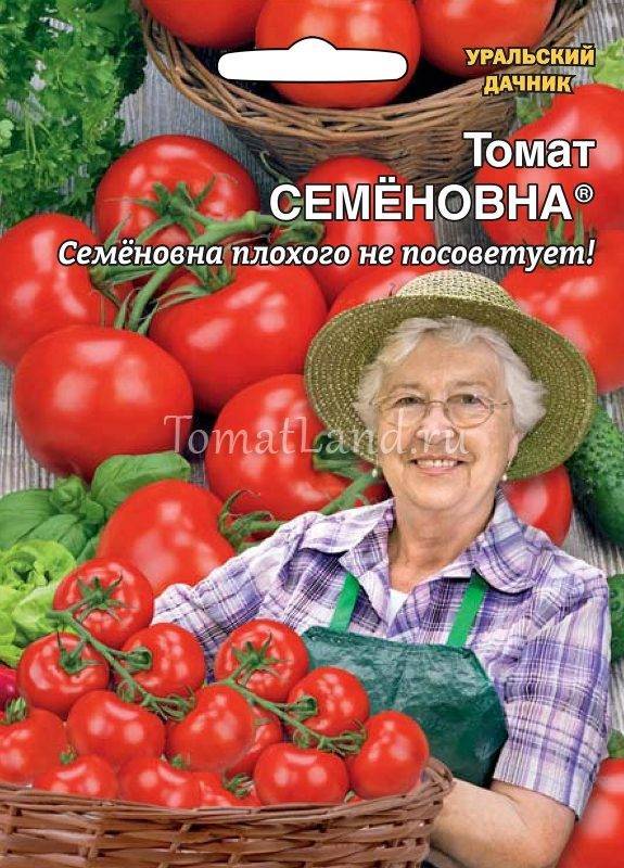 Томат сибирский изобильный описание сорта фото отзывы