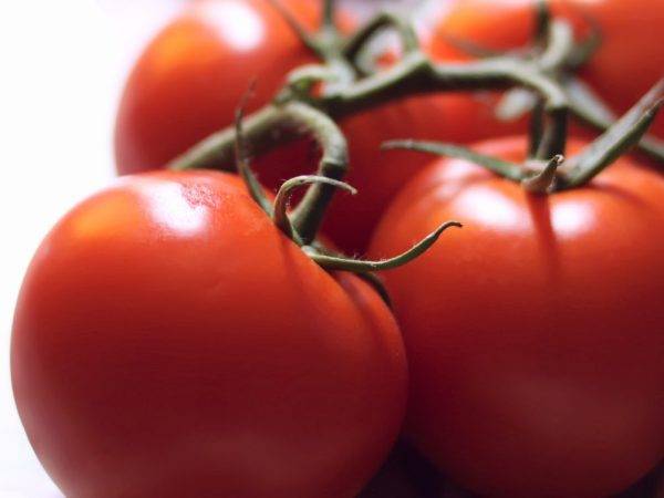 Характеристика и описание сорта томата Чудо рынка, его урожайность
