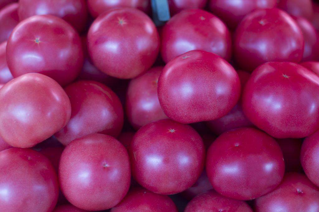 Описание сорта томата феномена, его характеристика и урожайность