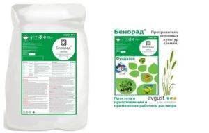 Бенорад — универсальный классический фунгицид для защиты растений