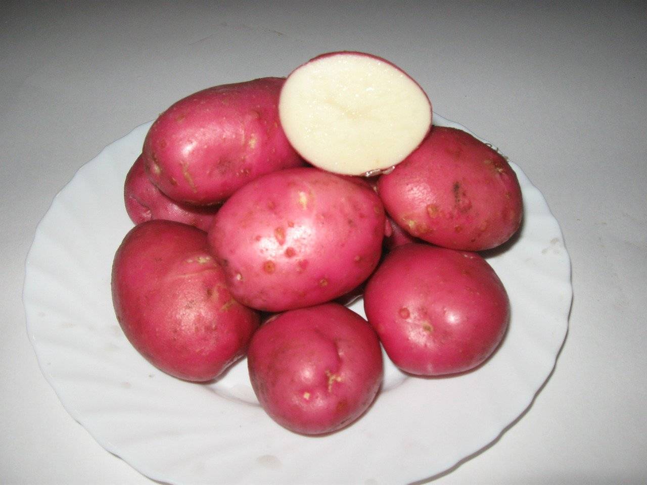 Сорт картофеля розара: описание с фото, характеристика, отзывы