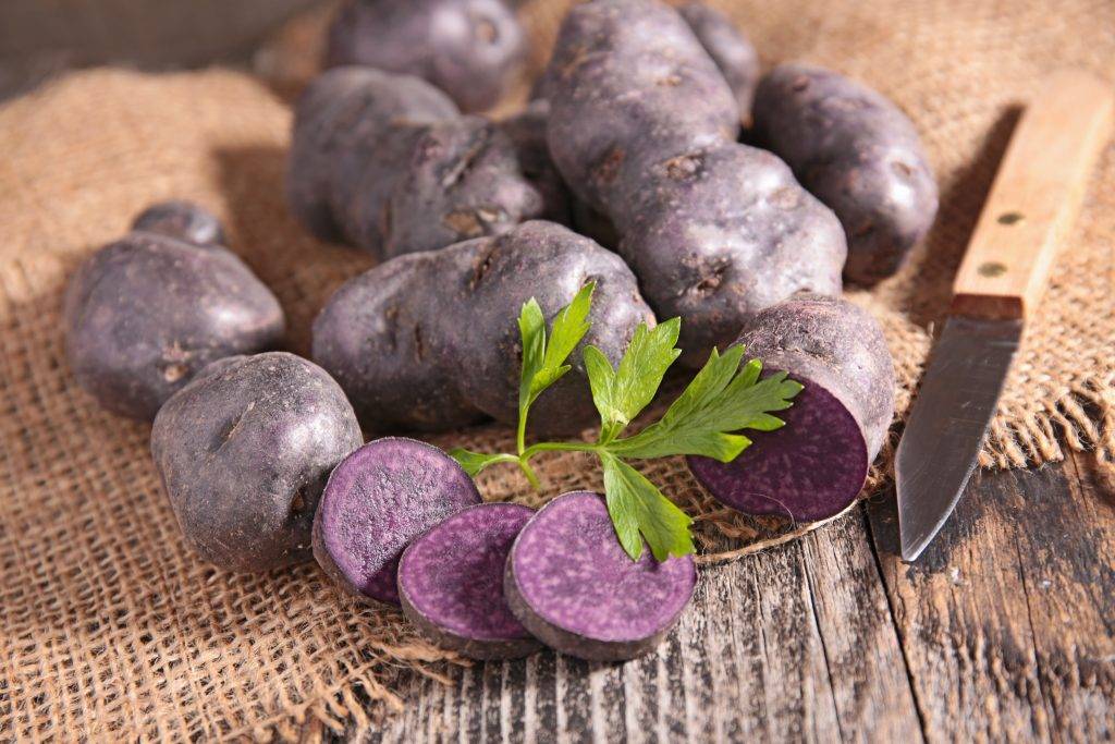 Фиолетовый картофель – концентрат здоровья