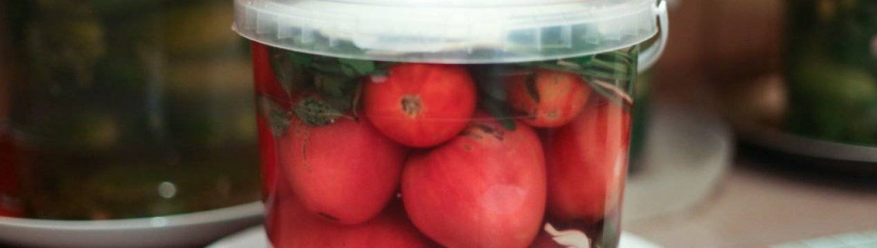 7 простых рецептов, как правильно засолить помидоры в ведре на зиму