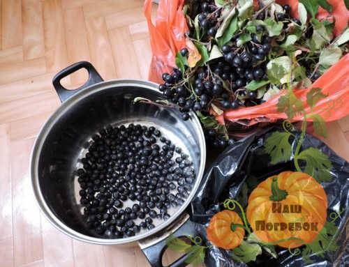 Простой рецепт приготовления варенья из ягод черноплодной рябины на зиму