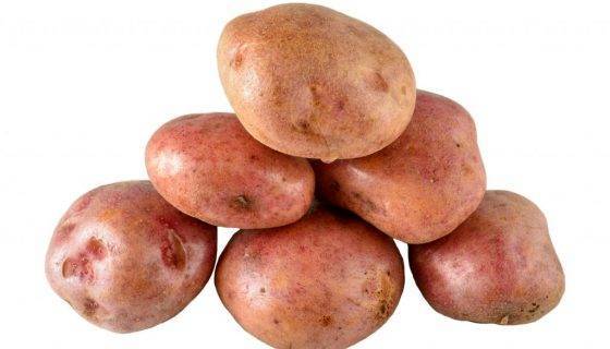 Как правильно ухаживать за картофелем, чтобы был хороший урожай