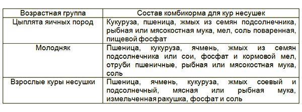 Как подобрать комбикорм для кур несушек, цыплят и бройлеров