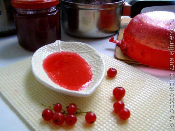 Красная смородина — рецепты заготовок на зиму и вкусные десерты