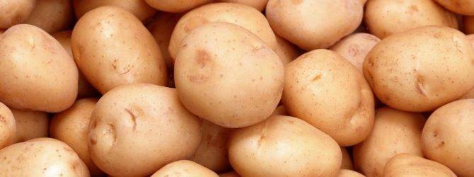 Главные характеристики картофеля голубизна