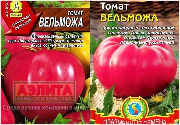 Подарок фермерам от российский селекционеров: томат «вельможа» — скороспелый сорт с обильным урожаем
