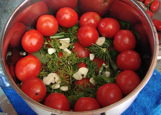 Малосольные помидоры с чесноком быстрого приготовления