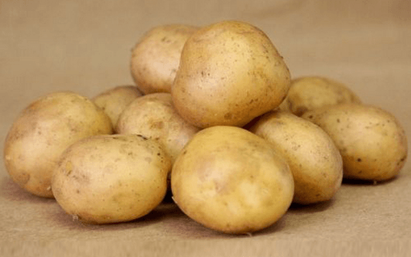 Описание сорта картофеля Колобок, особенности выращивания и ухода