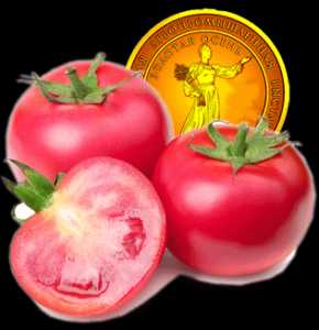 Лучшие сорта зеленоплодных томатов 2019, по мнению наших читателей