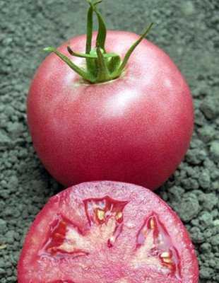 Уникальный цвет и вкус при демократичной цене — томат пинк буш