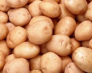 30 топ ранних сортов картофеля с описанием, вкусовыми качествами, фото и отзывами