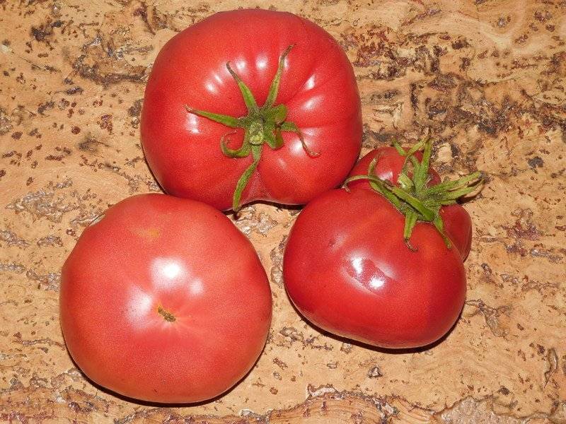 Невероятно сладкий и удивительно красивый томат «медовый салют»